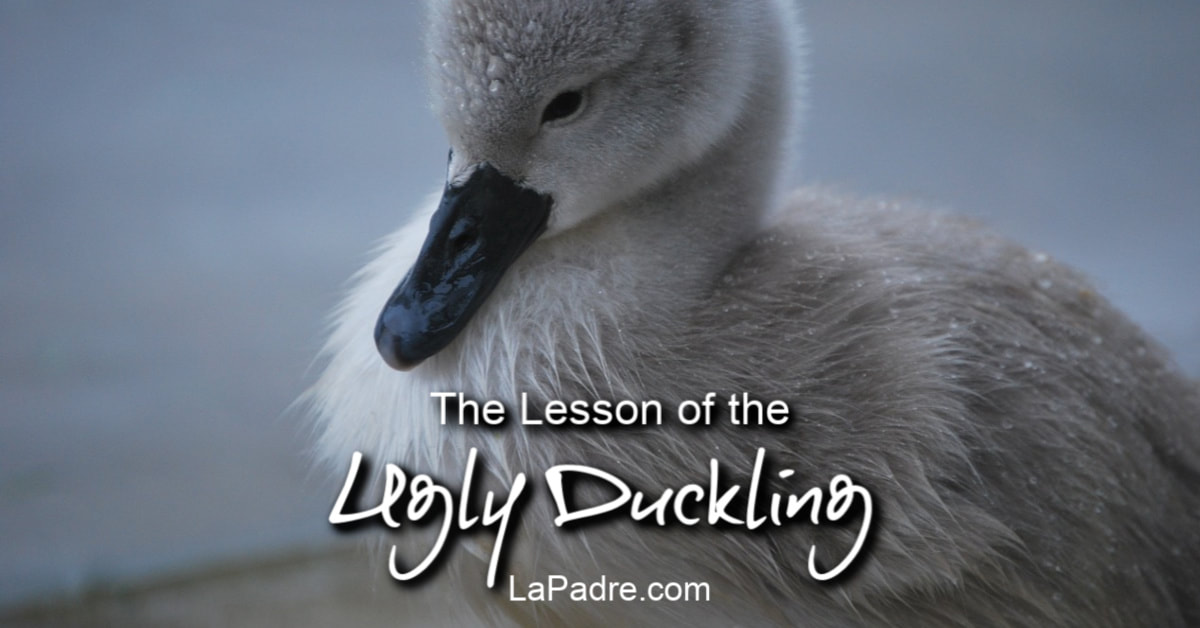 The lesson of the ugly duckling is that he is both the pain of his current reality and the promise of his desired outcome.